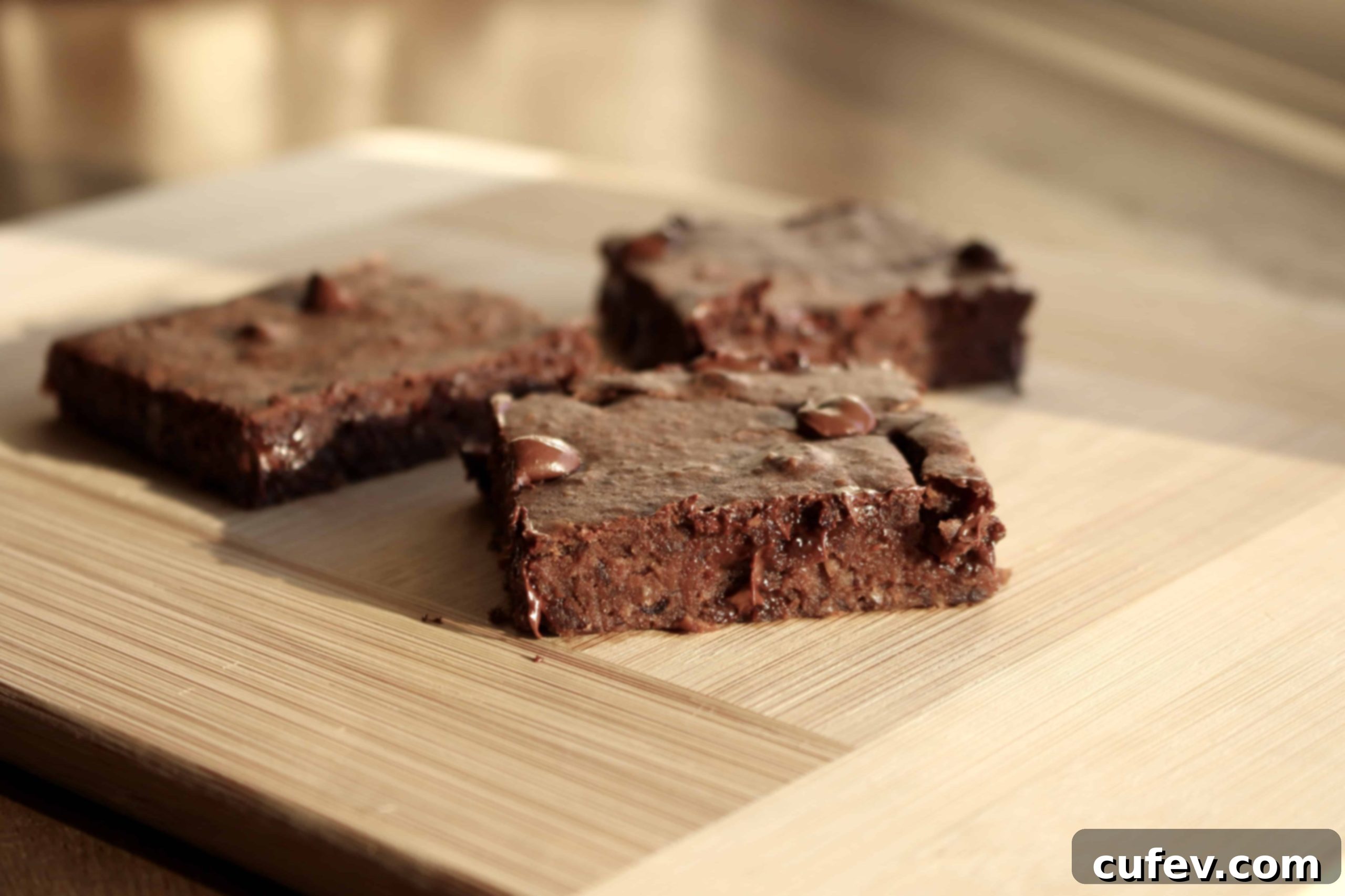 featured 2104 scaled