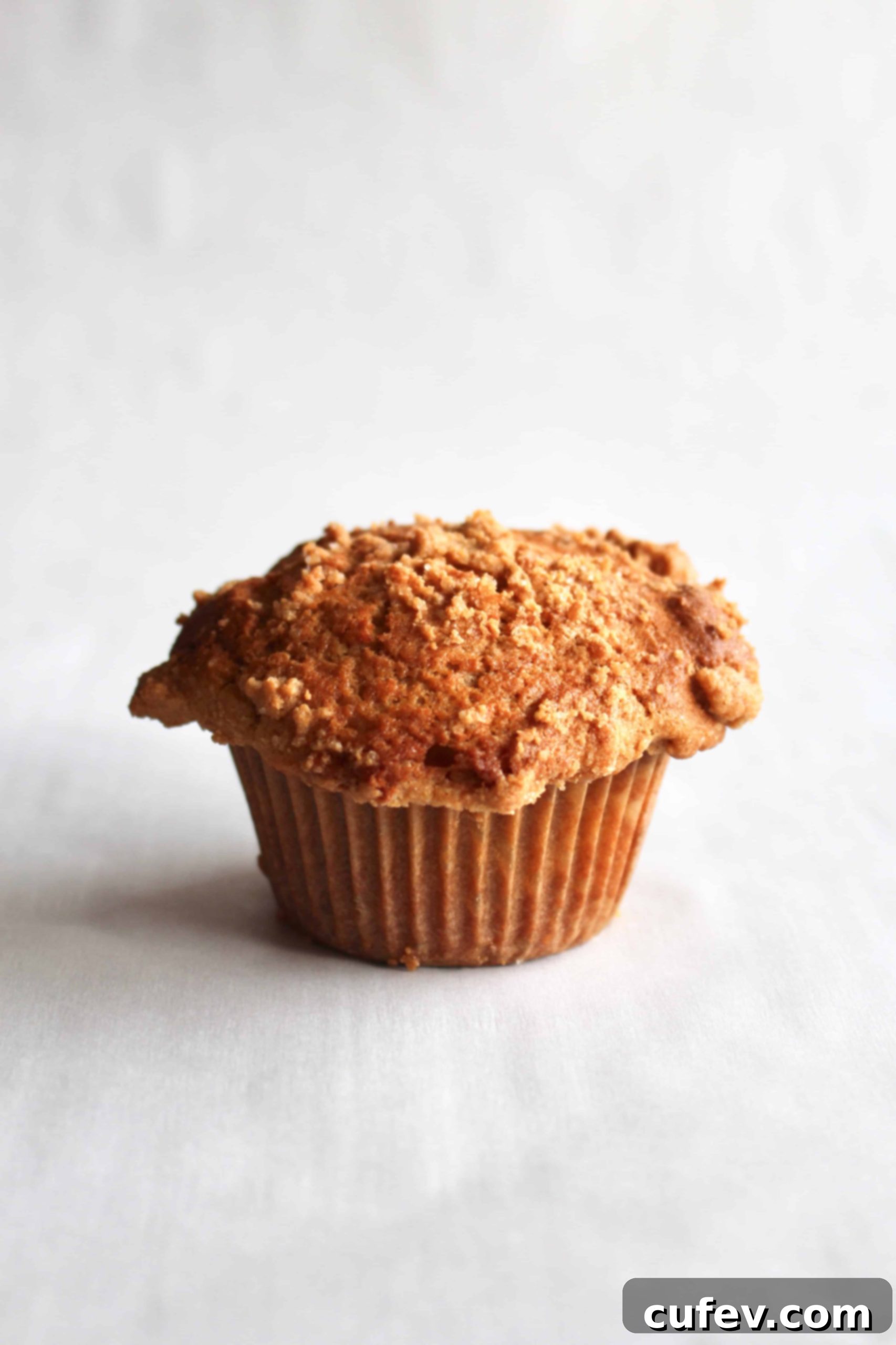 featured 2211 scaled