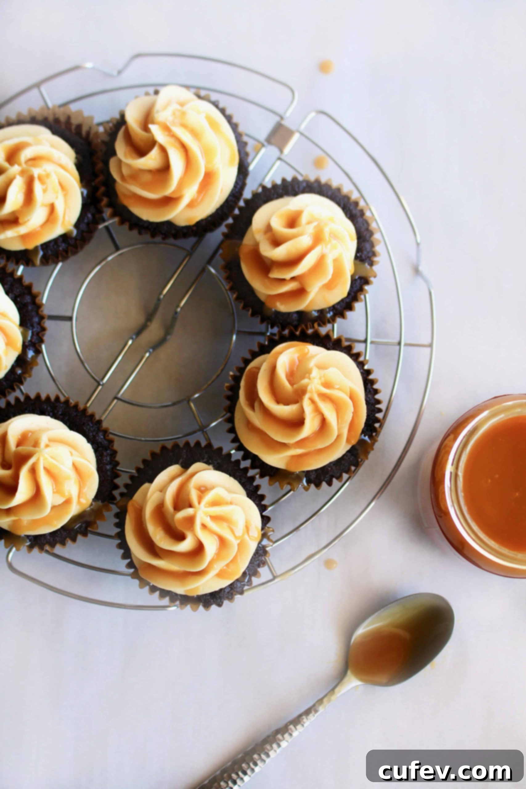 featured 3196 scaled