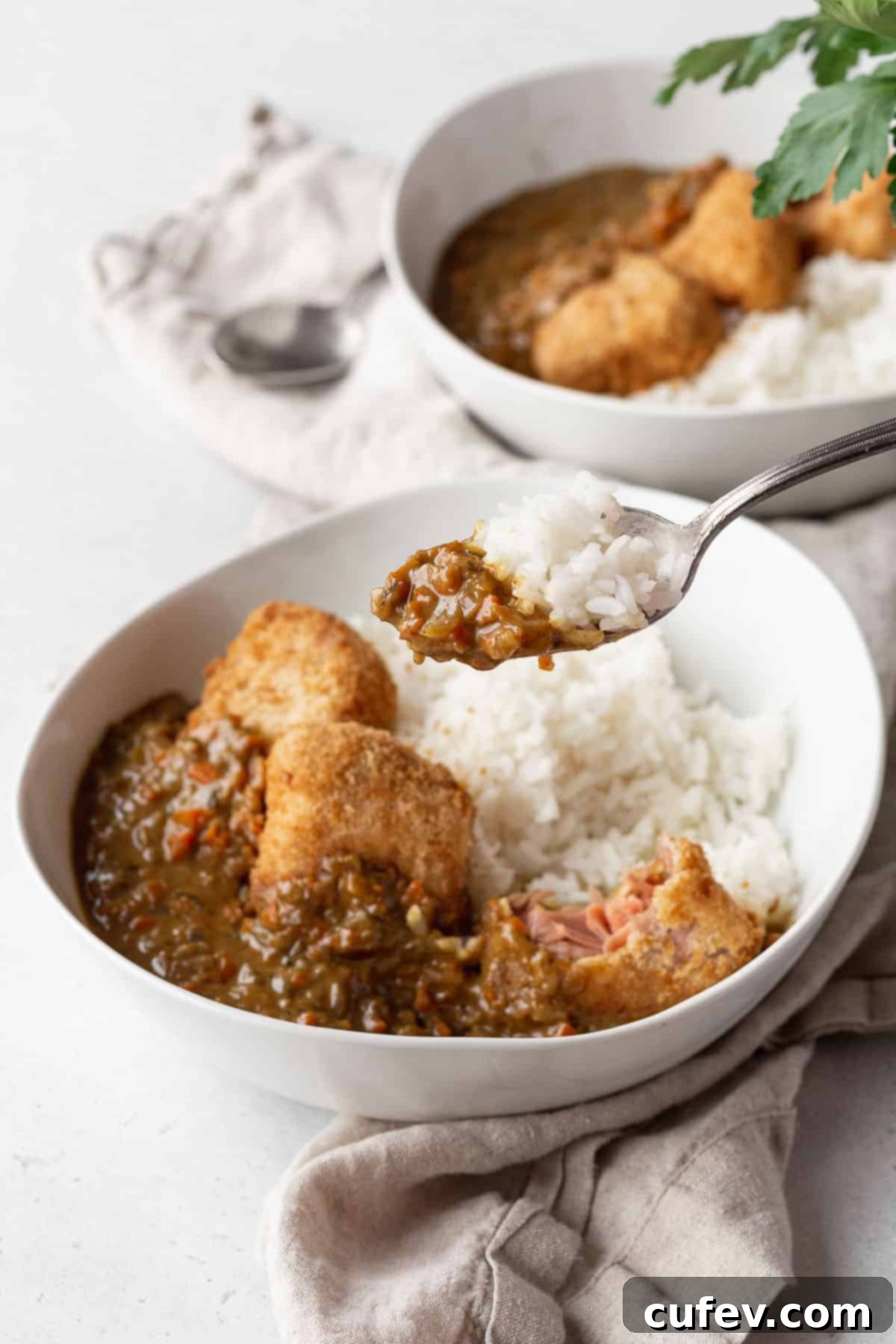 A close-up shot of a bowl of vegan katsu curry, with a spoon lifting a perfect bite of rice and curry, highlighting the rich texture and appealing presentation.