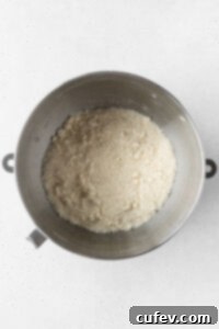 Dry ingredients and butter for gluten-free coffee cake being mixed in the bowl of a stand mixer, resembling sand.