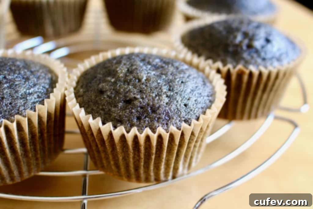 Baked black sesame cupcakes cooling on a wire rack, waiting for frosting.