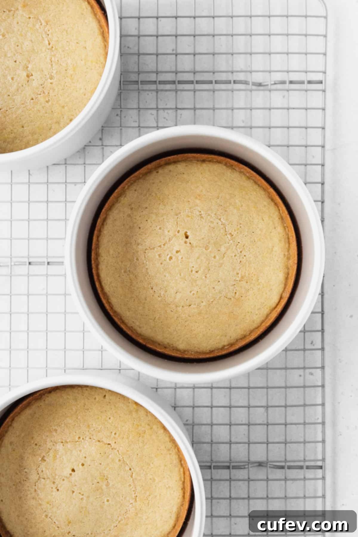 Three baked cake layers.