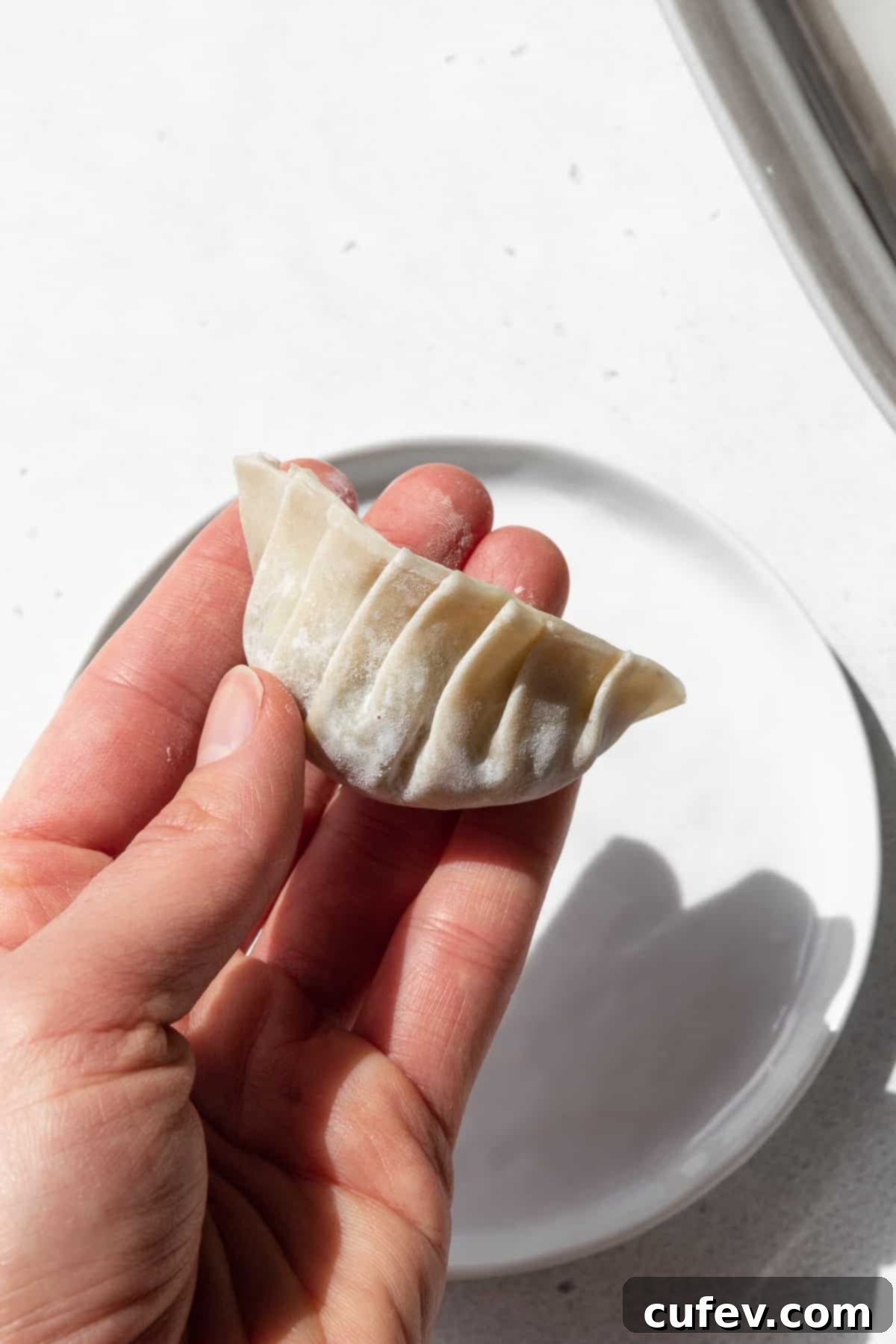 A plate of perfectly formed, completed vegetable gyoza, ready for cooking.