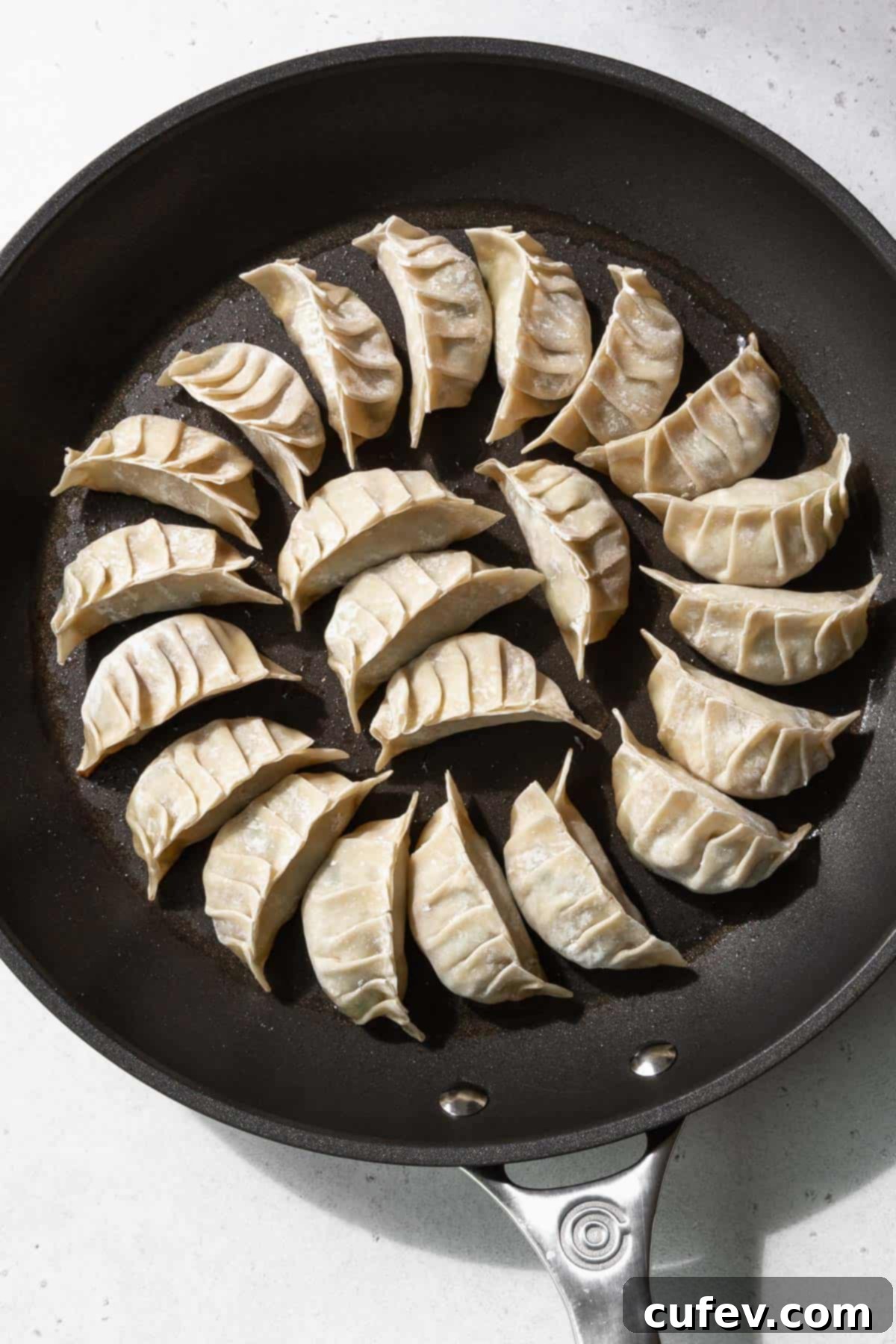 Uncooked gyoza lined neatly on a greased nonstick frying pan, ready for the pan-frying step.