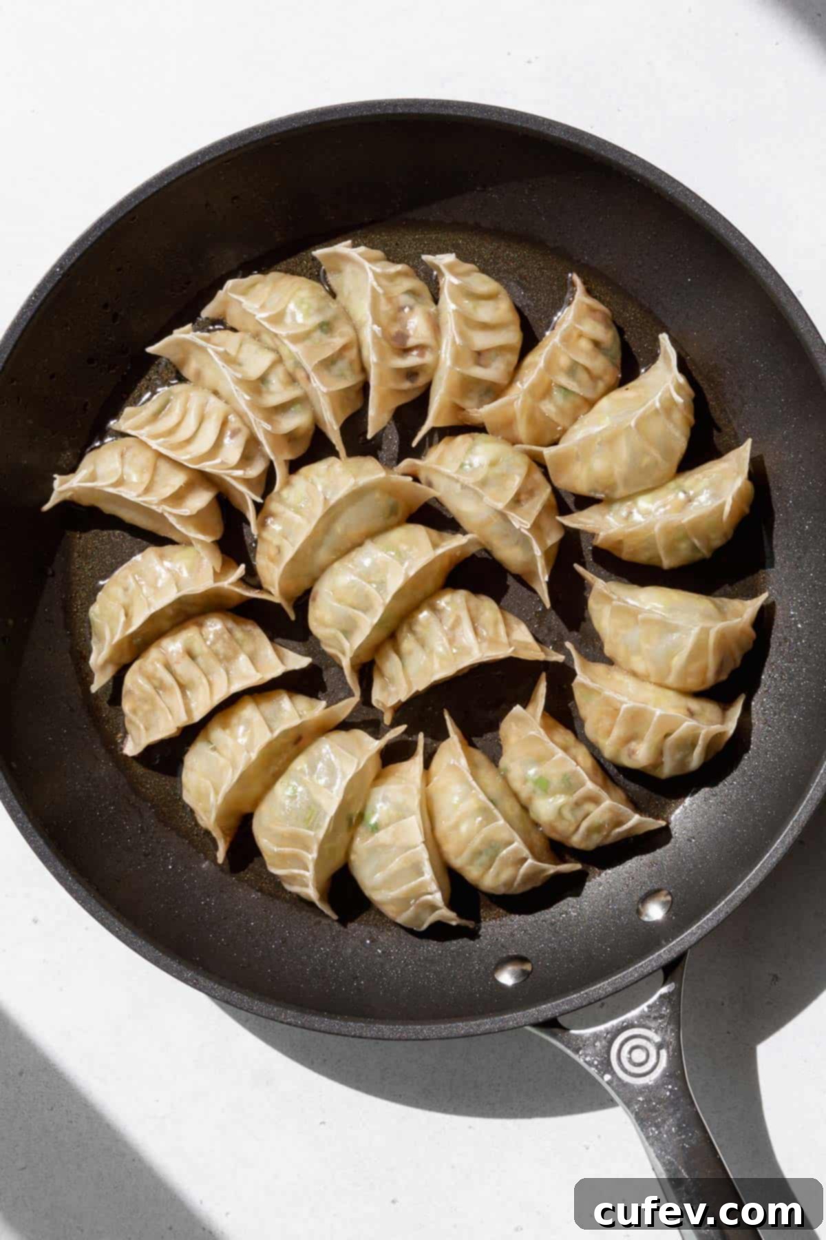 Cooked vegan gyoza still on a frying pan, showing their crispy bottoms and steamed tops.