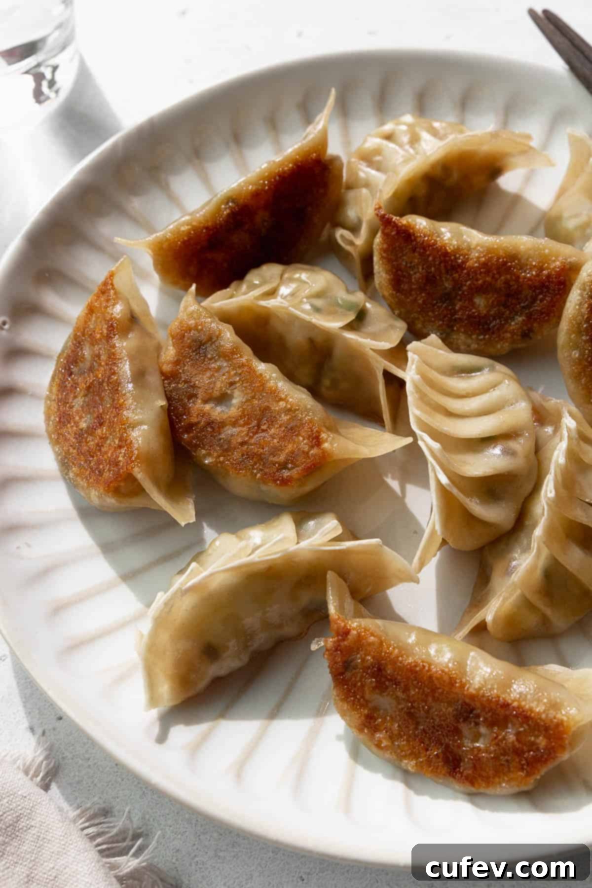 A close up shot of veggie dumplings.
