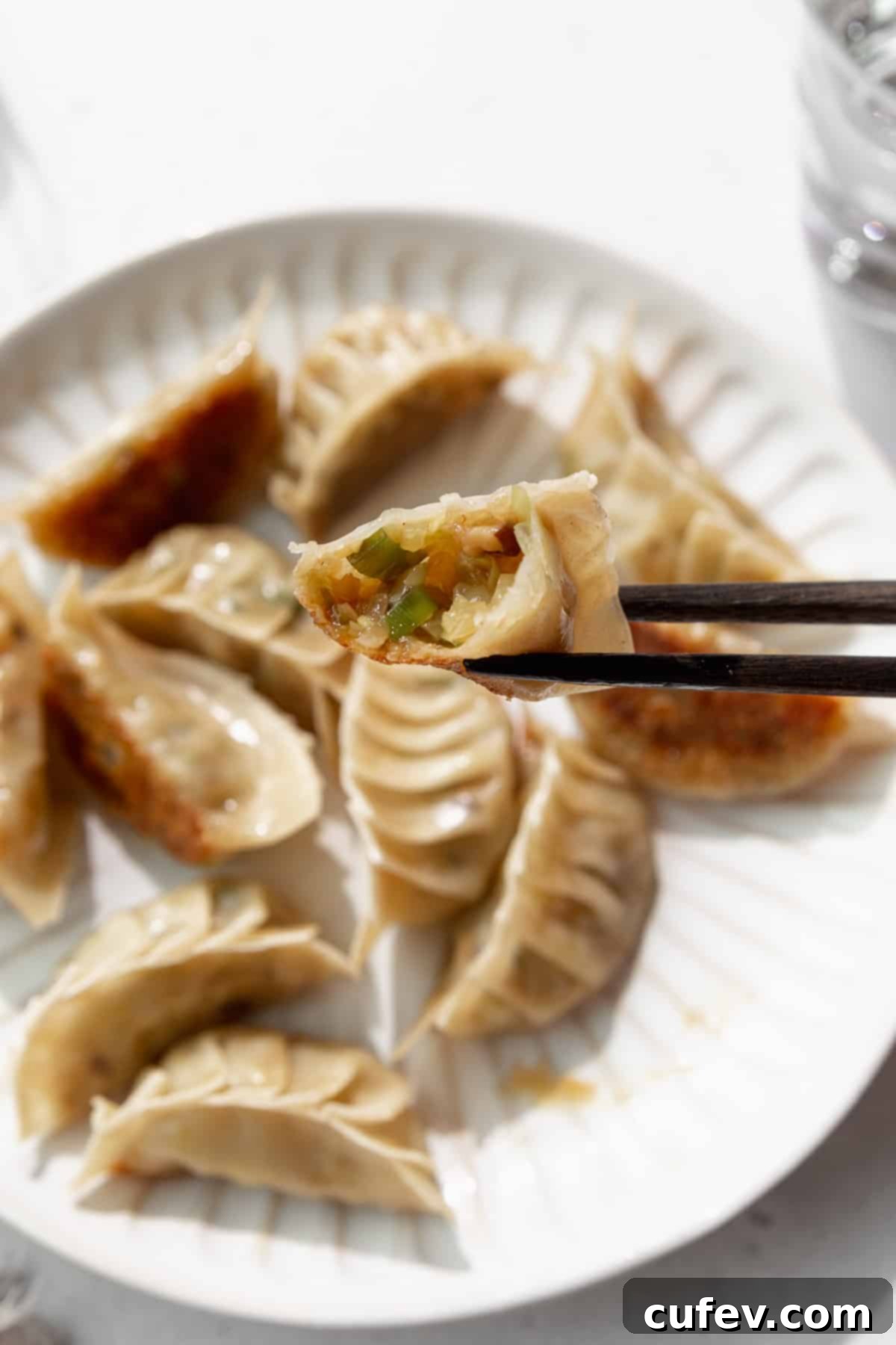 Chopsticks holding a bitten vegetable dumpling.