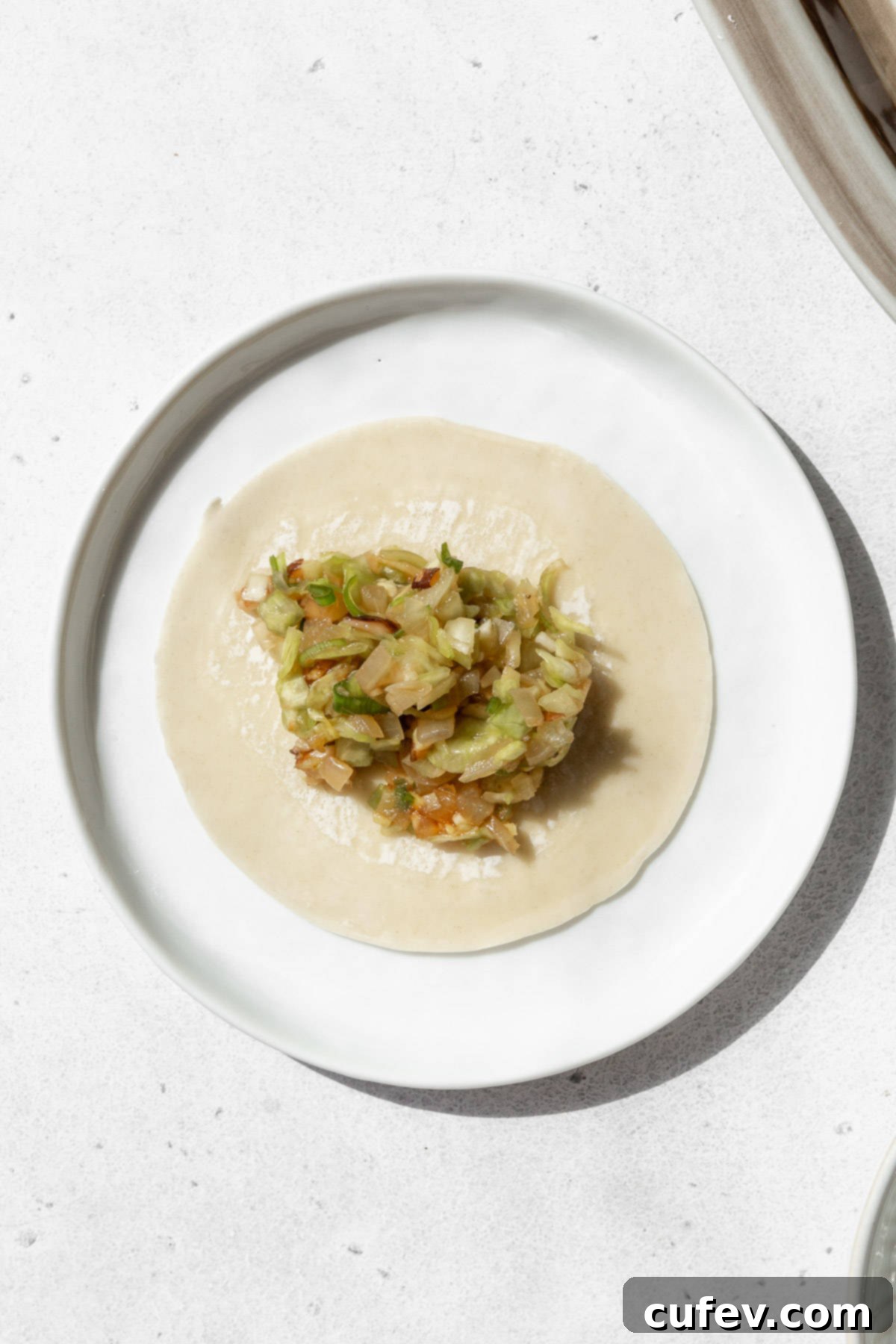 A spoonful of vegan vegetable filling placed on a gyoza wrapper, with edges moistened for sealing.