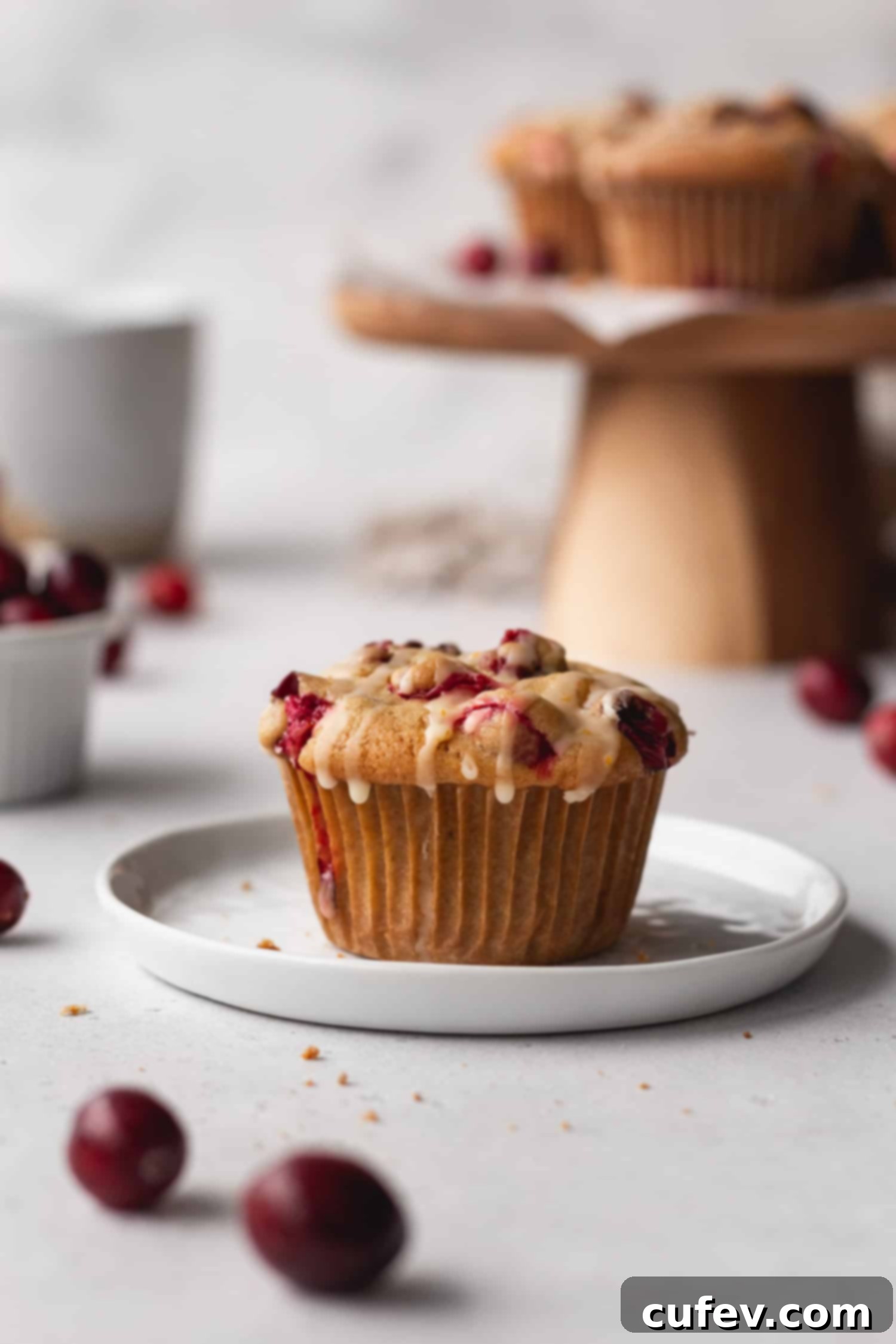 A beautifully baked gluten-free cranberry orange muffin on a white plate, showcasing its golden-brown top and speckled cranberries.