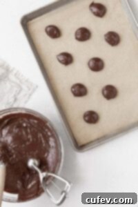 Gluten Free Whoopie Pies 8 Scooping the gluten-free whoopie pie batter onto a parchment paper lined baking sheet.