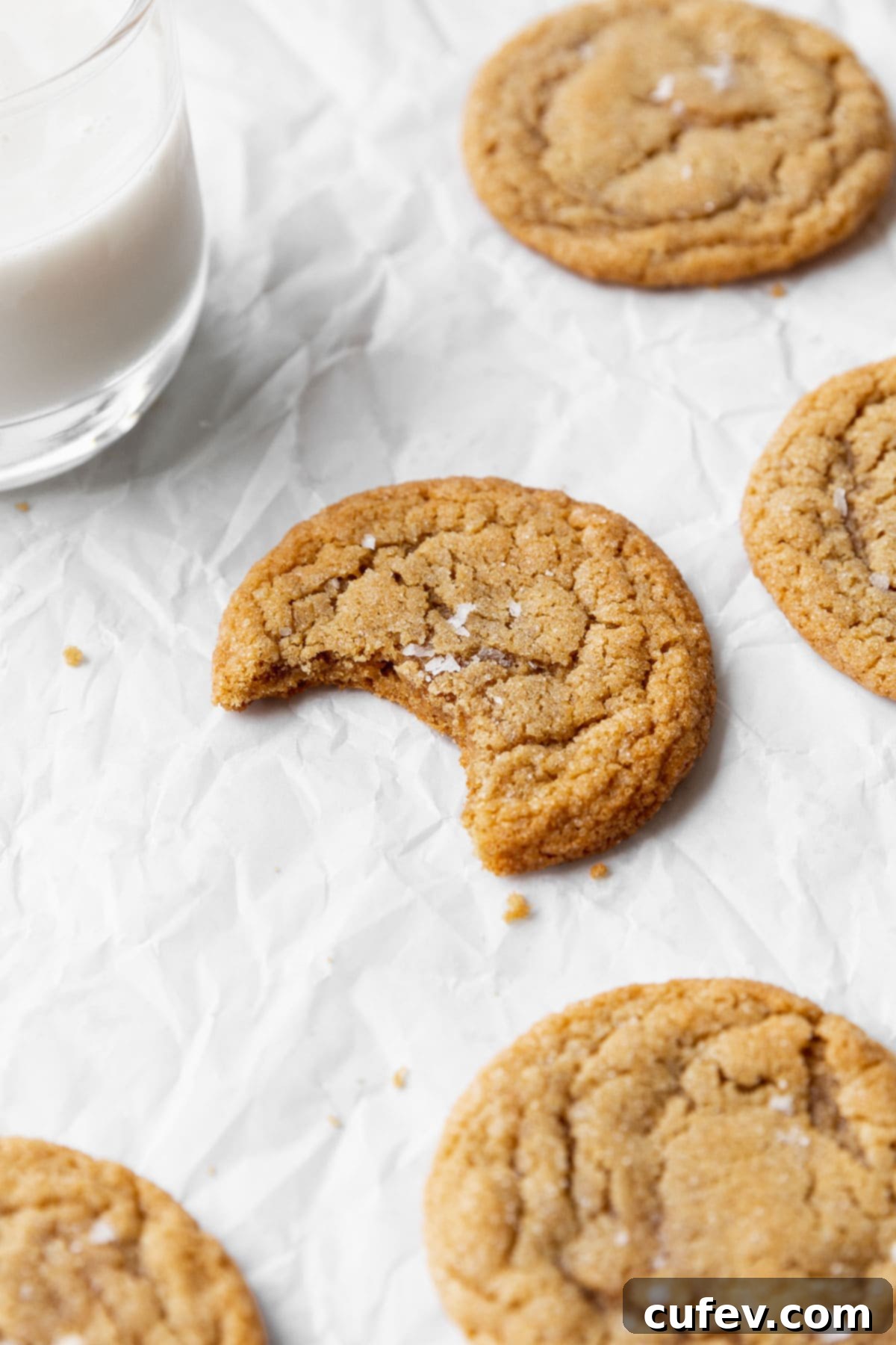 A delicious closeup of a dairy-free peanut butter cookie with a bite taken out of it, showcasing its perfect texture and inviting interior.
