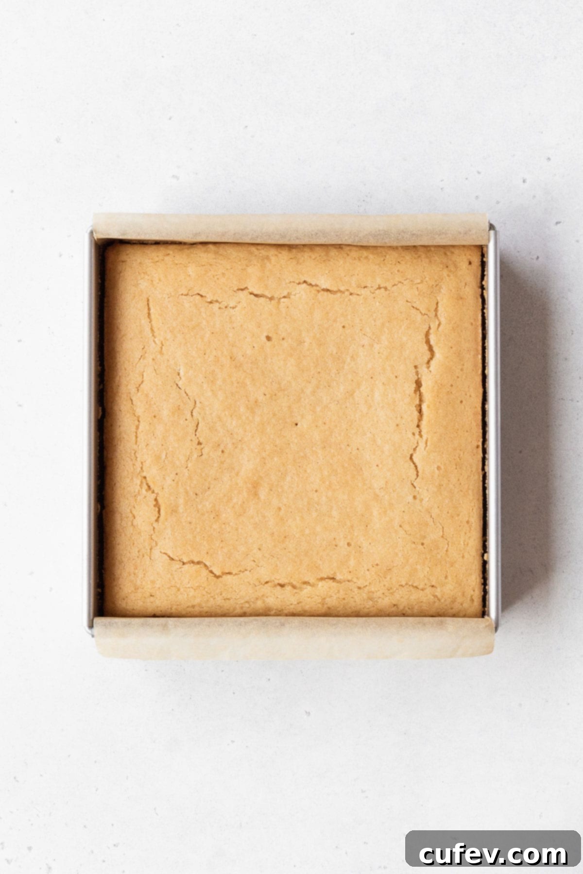 Indulgent Gluten-Free and Dairy-Free Tres Leches Cake 10 An 8x8-inch pan of baked gluten-free and dairy-free tres leches cake.