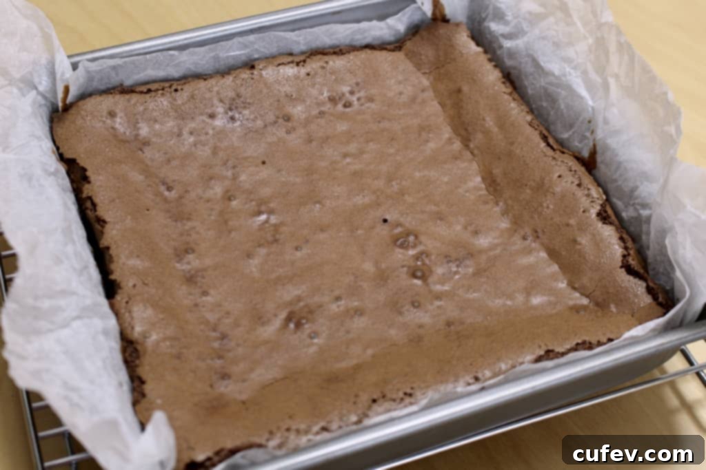 Midnight Mint Brownies 6 After Eight Brownies