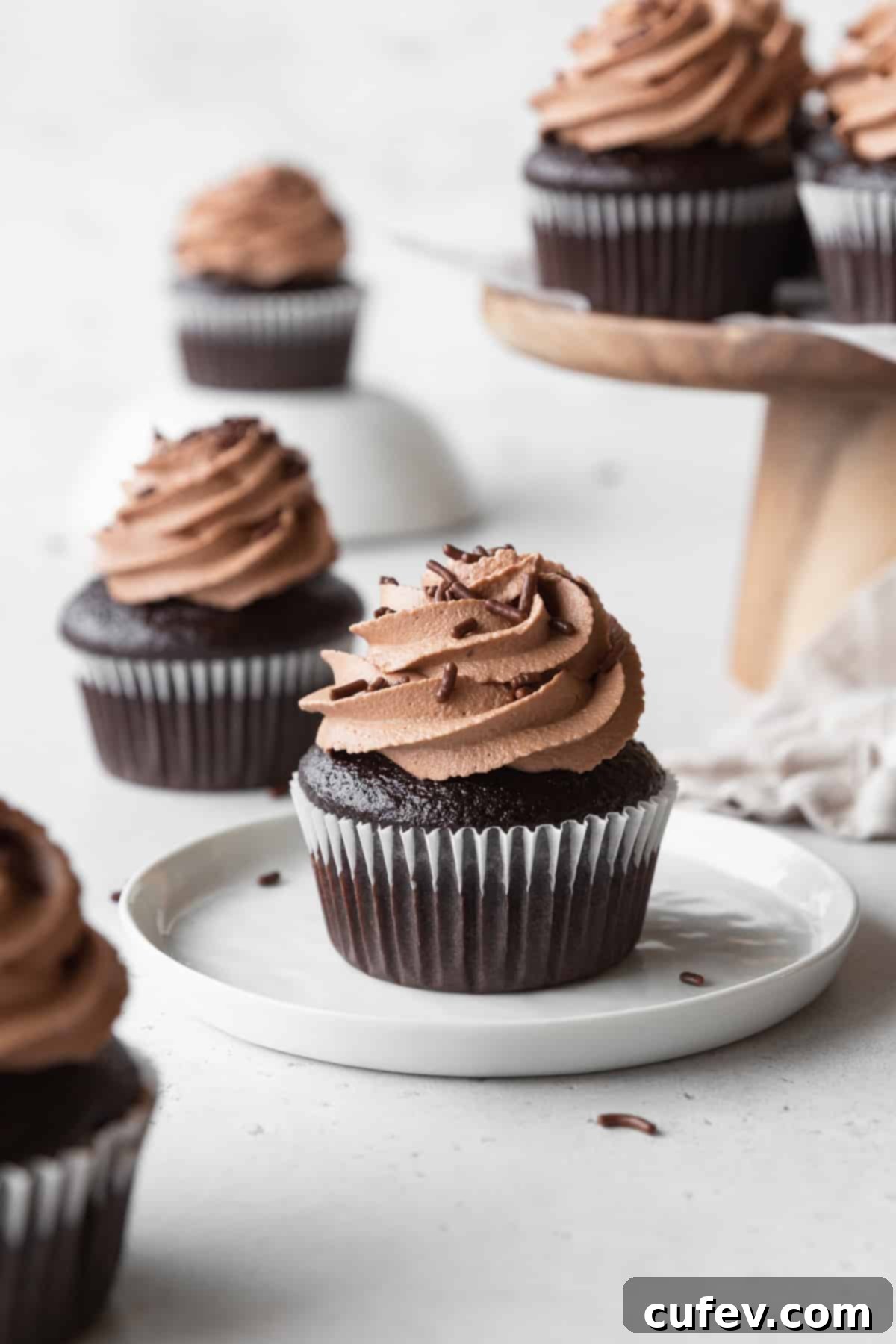 A perfectly frosted chocolate cupcake with chocolate cream cheese frosting, elegantly placed on a white plate. More delicious cupcakes are softly blurred in the background, inviting a closer look.