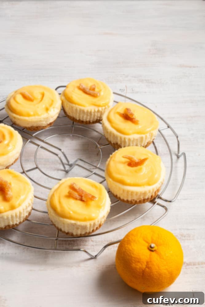 Delightfully creamy individual yuzu cheesecakes topped with vibrant, tangy yuzu curd, a perfect fusion dessert.