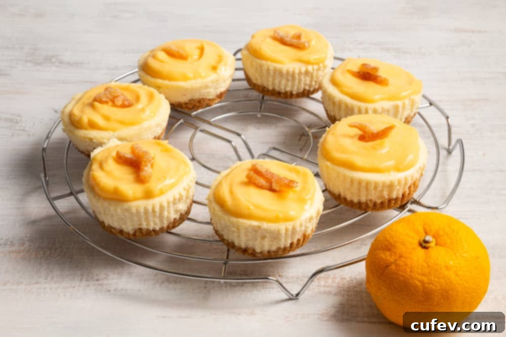 Close-up of an individual yuzu cheesecake, perfectly baked and showing the creamy texture and a swirl of bright yuzu curd.
