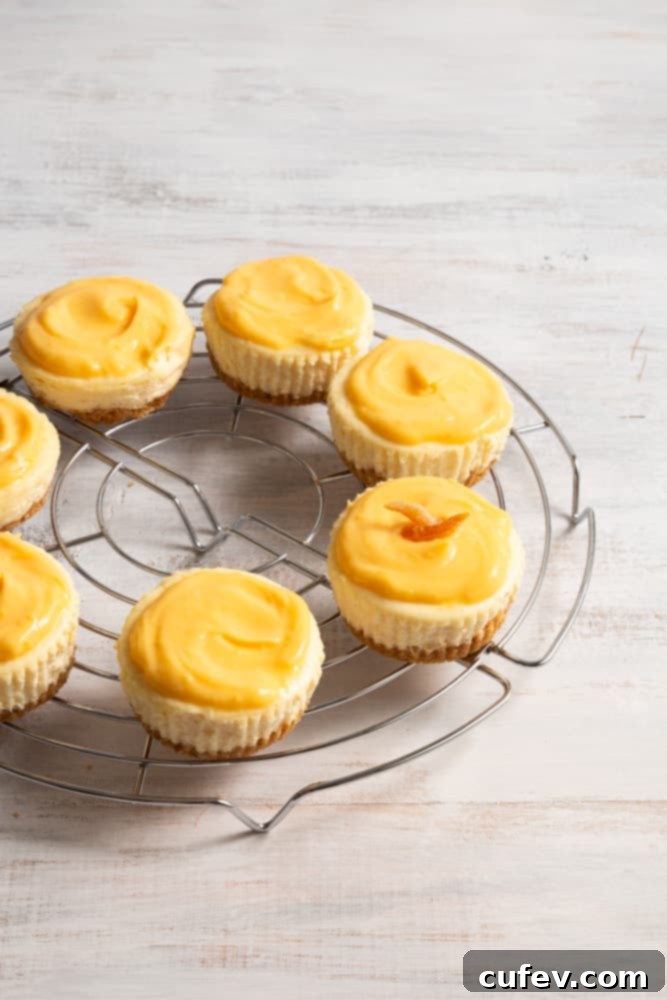 Individual yuzu cheesecakes cooling on a wire rack after baking, ready for their tangy yuzu curd topping and chilling.