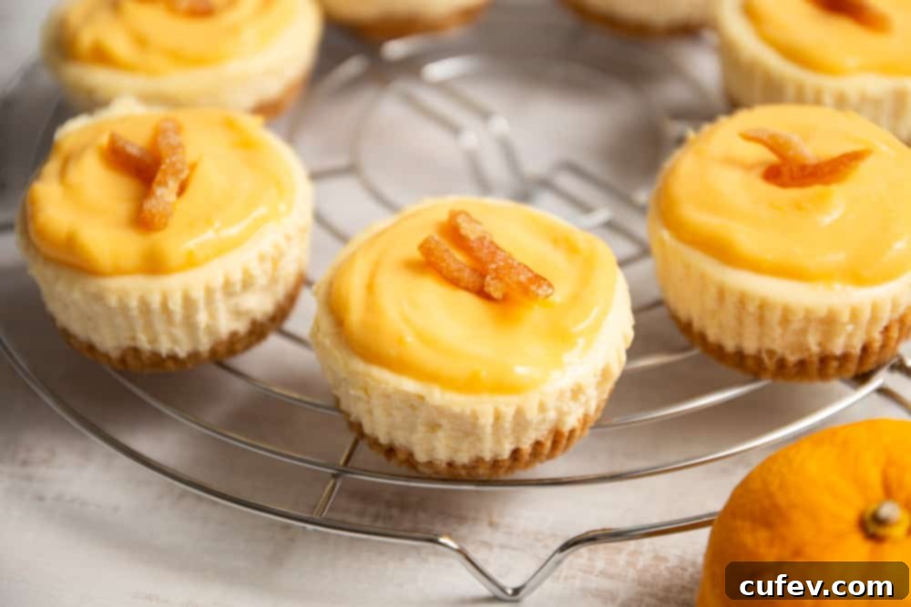 A perfectly portioned yuzu cheesecake, topped with a swirl of yuzu curd and a delicate garnish, ready to be enjoyed.