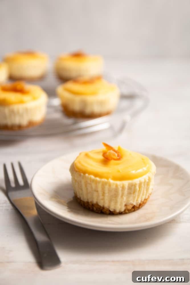 Close-up cross-section of a creamy yuzu cheesecake, revealing its smooth texture and the vibrant, tangy yuzu curd topping.