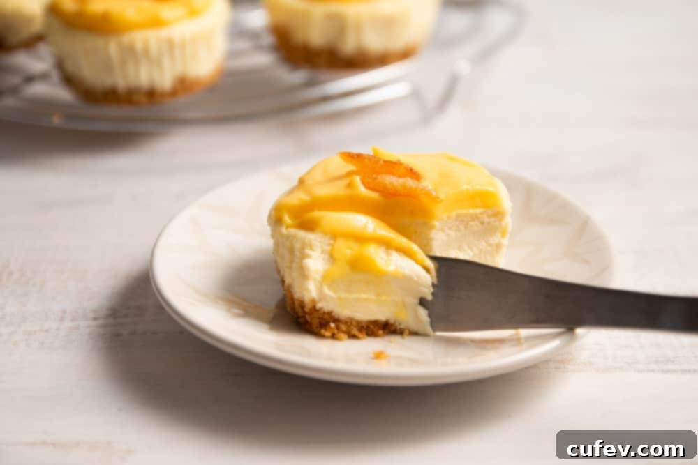 A beautiful spread of finished yuzu cheesecakes, elegantly garnished and presented, highlighting their inviting appearance.