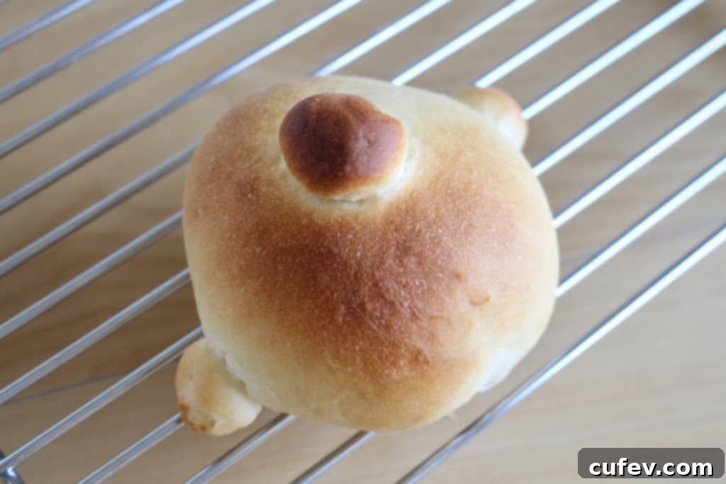 Blueberry cream cheese buns baking in the oven, turning golden brown.
