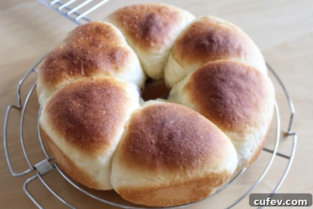 Baked blueberry cream cheese buns cooling on a wire rack after being removed from the oven.