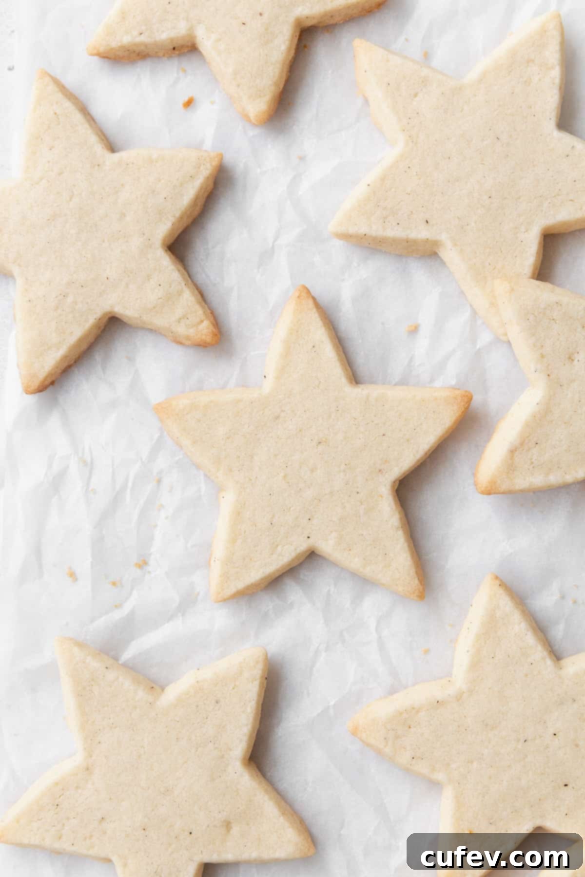 A close up of gluten free cut out cookies laid out on parchment paper.