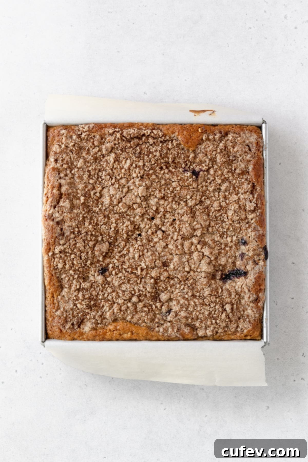 Baked blueberry sour cream cake in a square pan.
