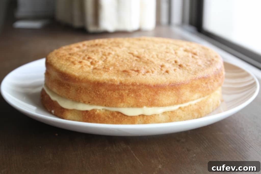 Coconut Boston Cream Pie