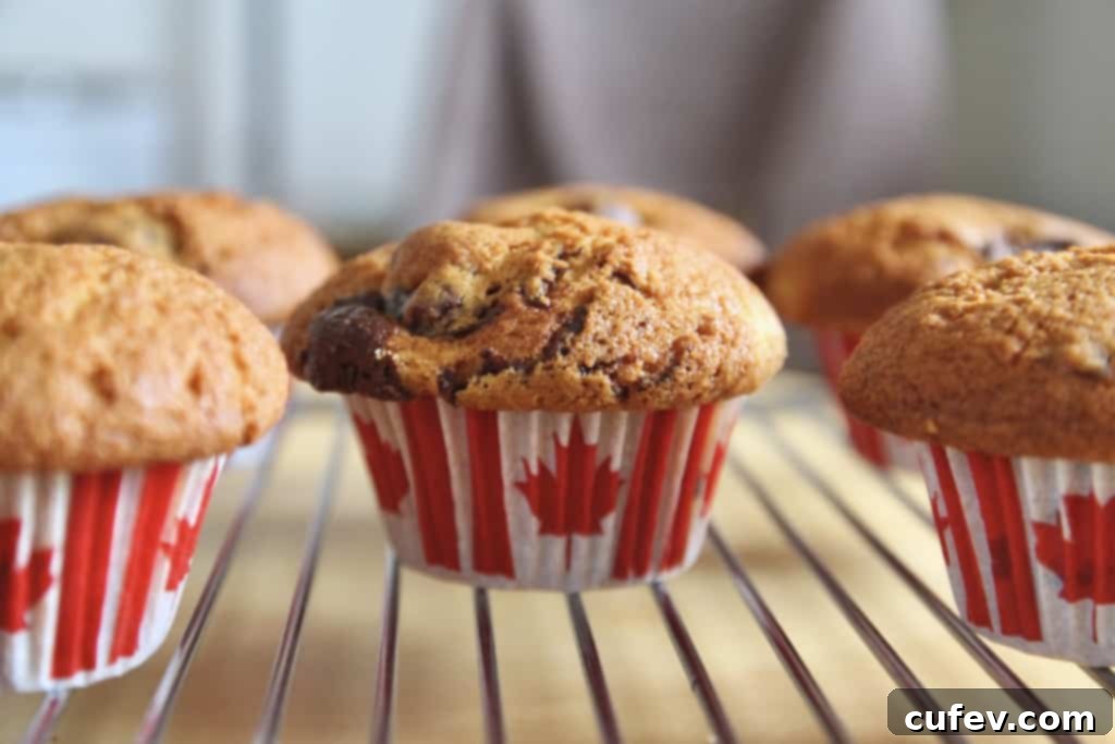 Moose Tracks Muffins (Peanut Butter Cup Muffins)