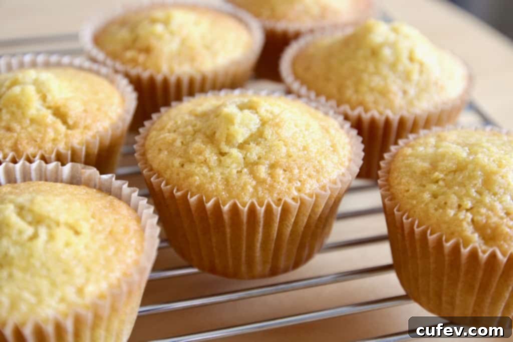 Freshly baked corn cupcakes cooling on a wire rack to ensure perfect moisture.