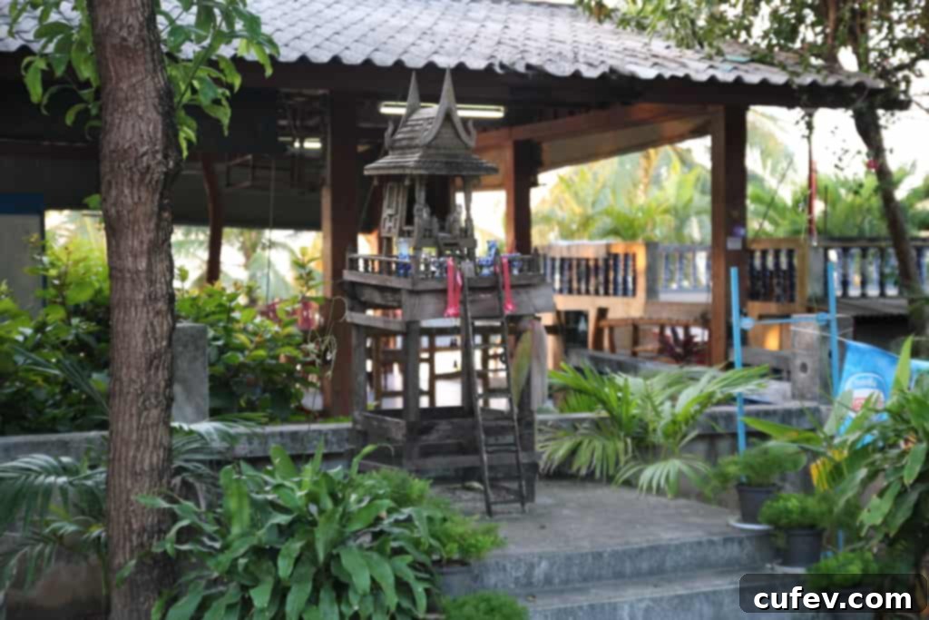 Excited couple on their Koh Samui honeymoon, with a subtle hint of pregnancy announcement