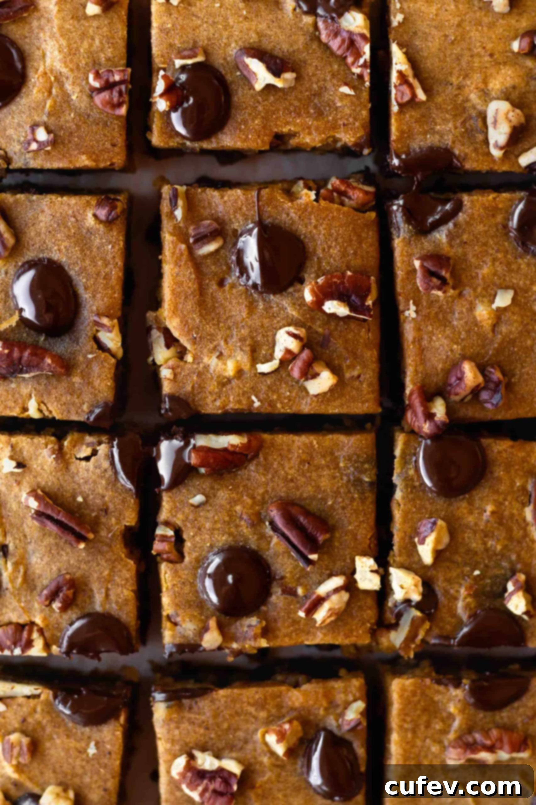 Close up shot of rich, moist pumpkin bars, showcasing their dense texture and delightful inclusions