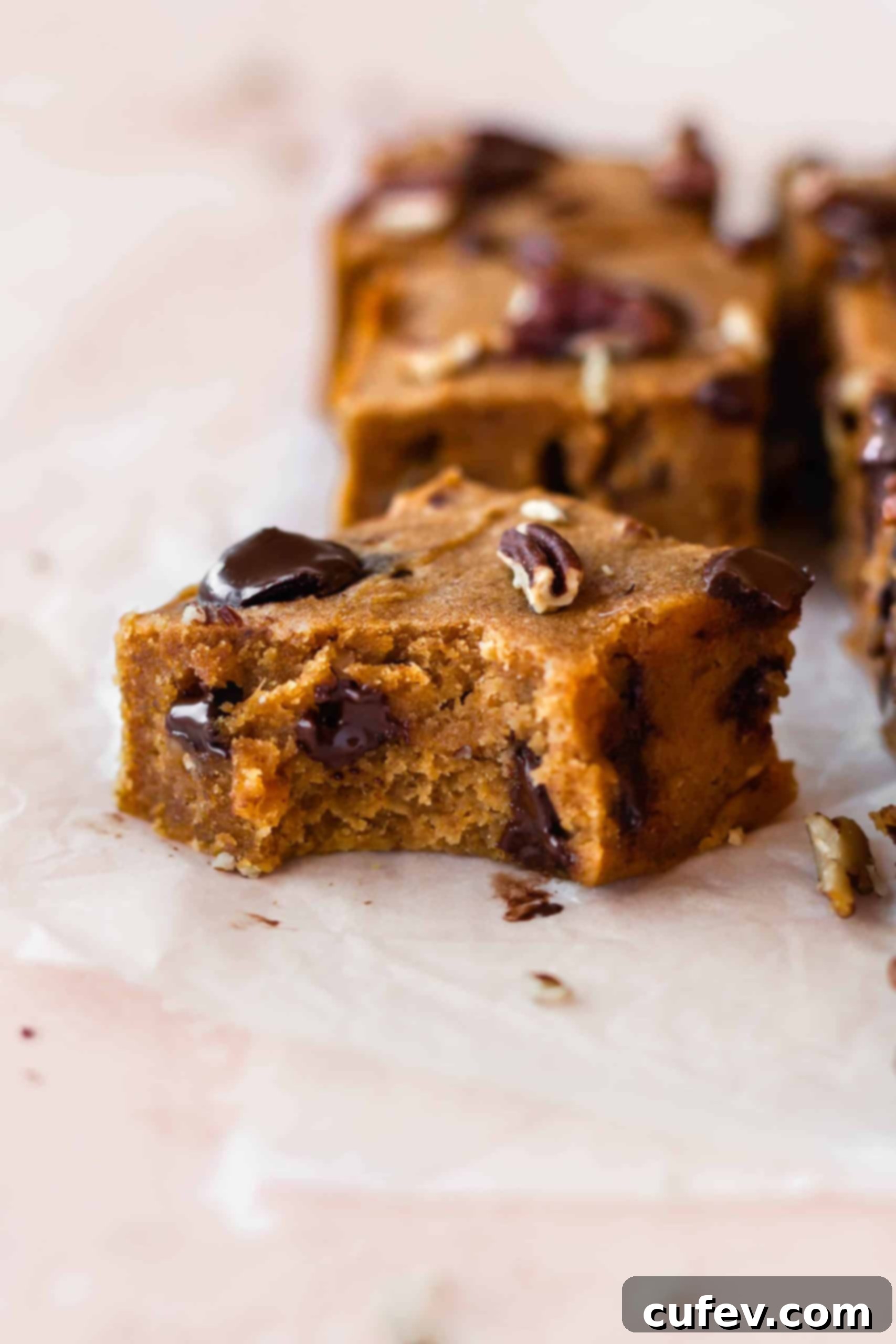 A delicious pumpkin bar with a bite taken out, showing the moist interior and rich chocolate chips