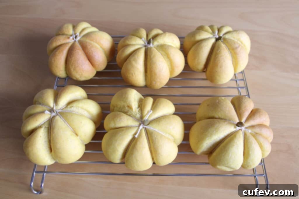 A selection of delicious vegetarian Shiitake BLT sandwiches made with homemade pumpkin buns.