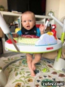 Hugo looking curious, exploring his surroundings