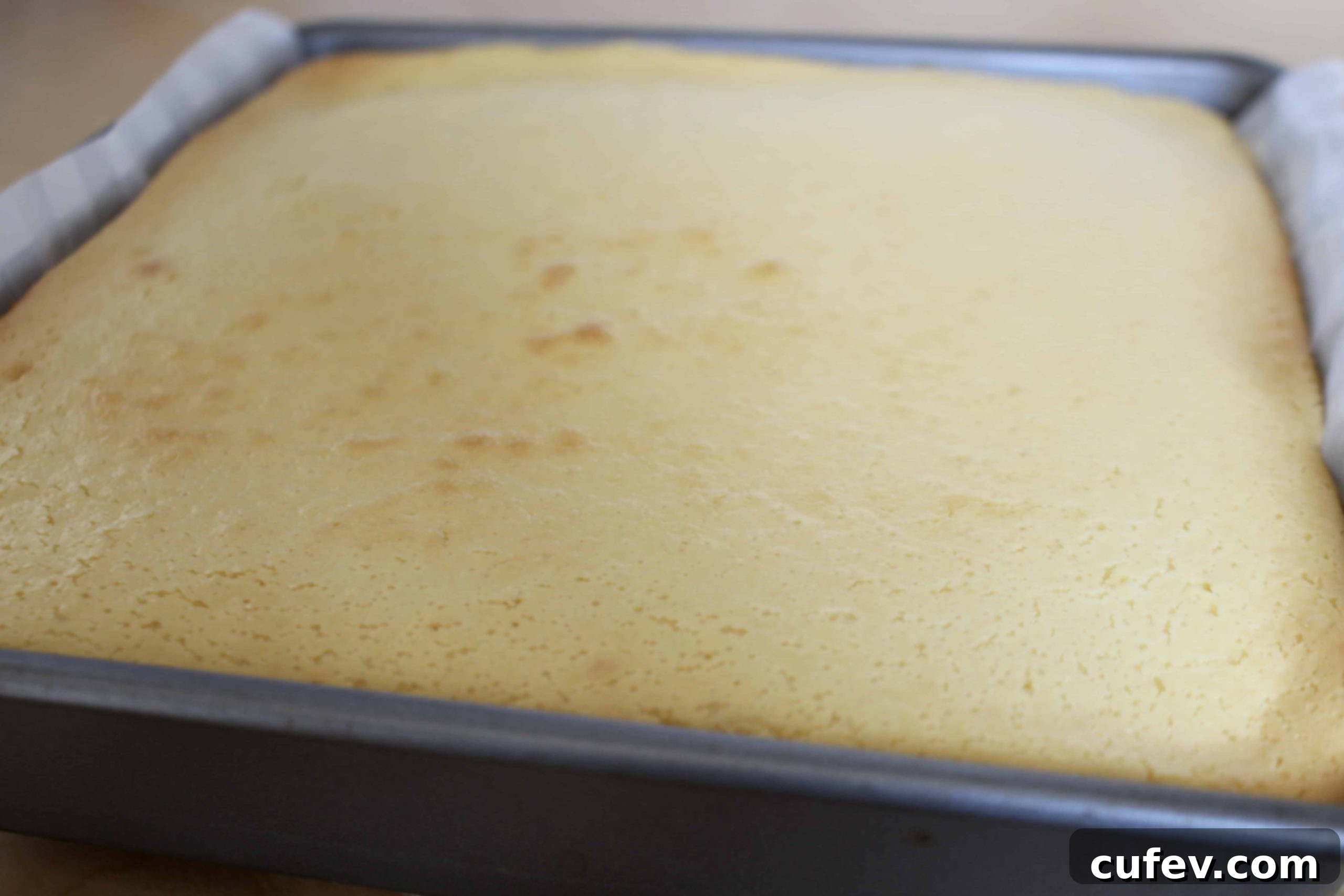 Smooth cheesecake filling poured over the crust, ready for baking