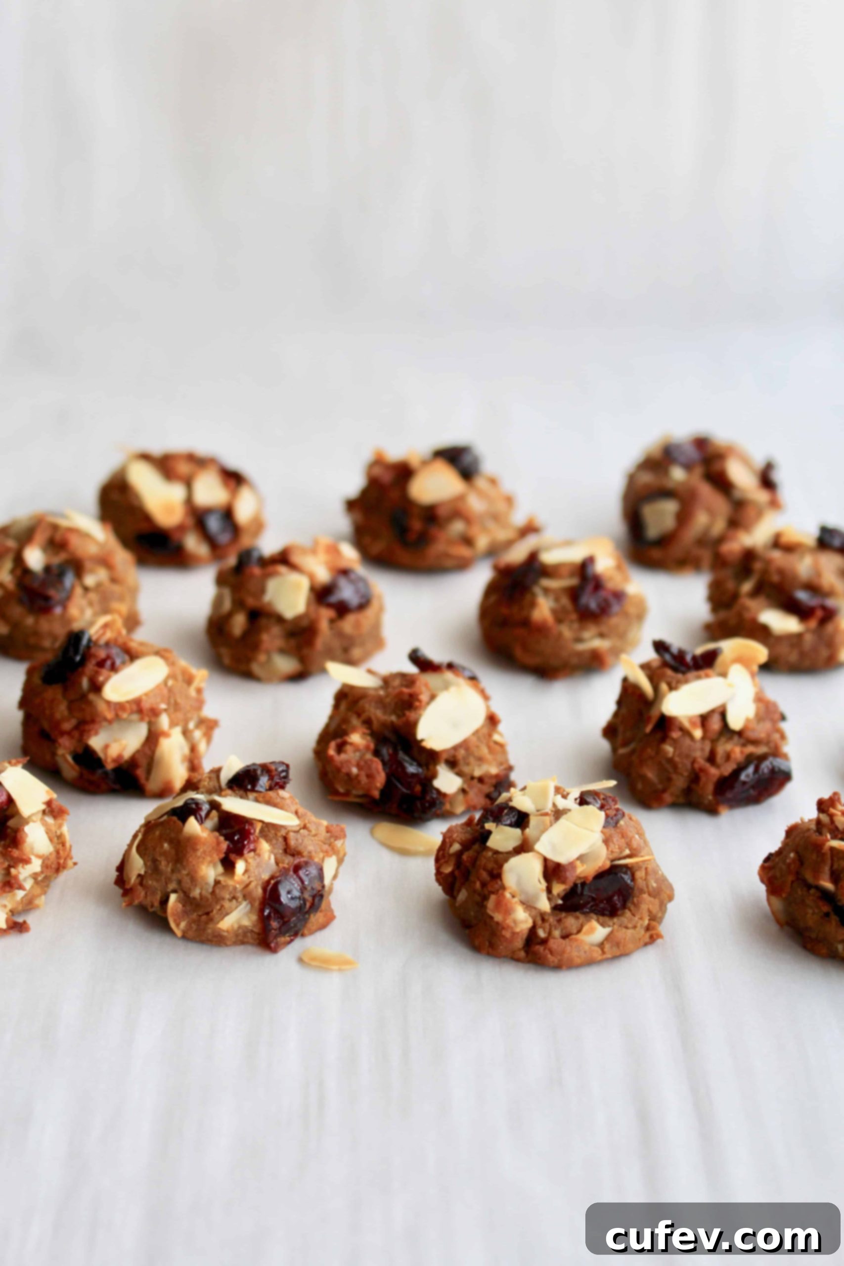 Lactation cookies with almonds and cranberries