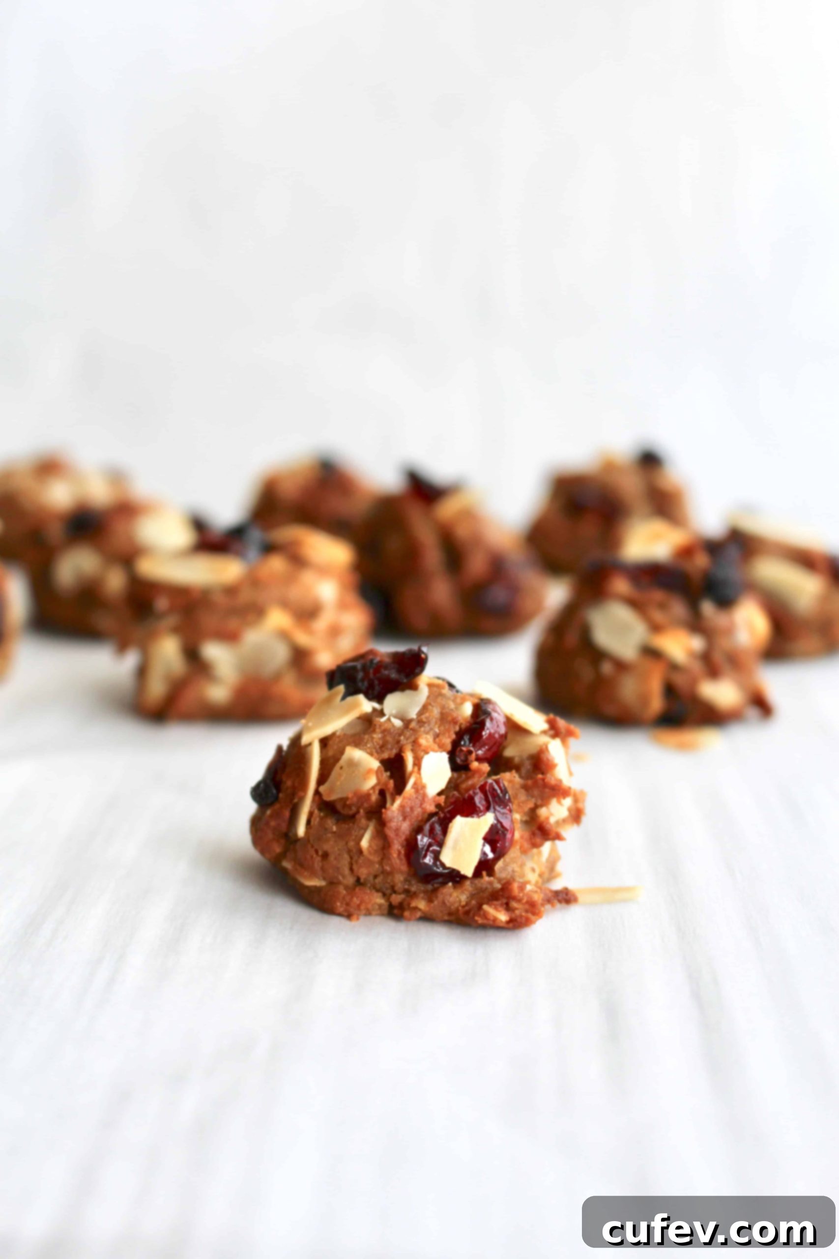 Chickpea cookies with dried cranberries