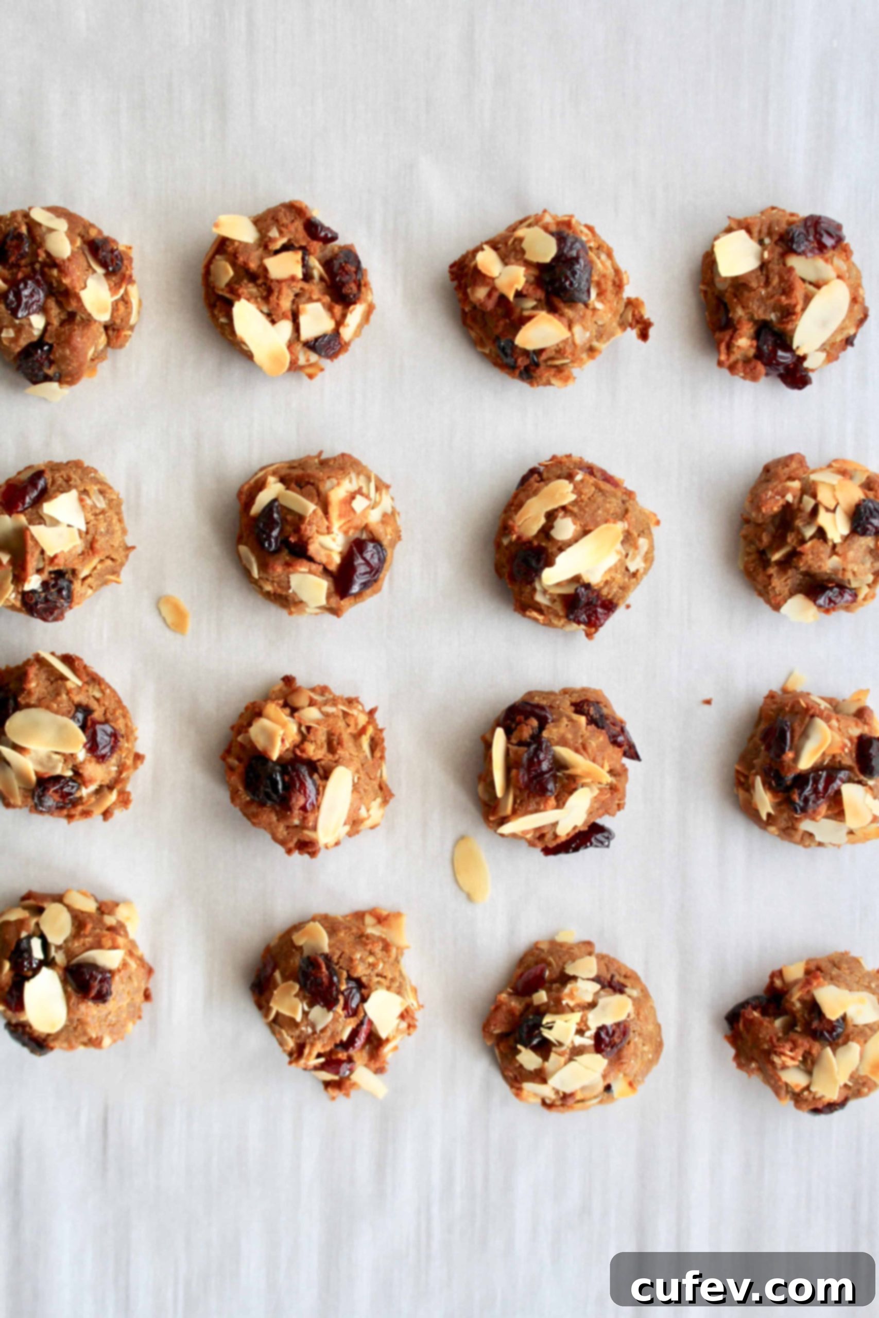 Lactation cookies with dried berries and nuts