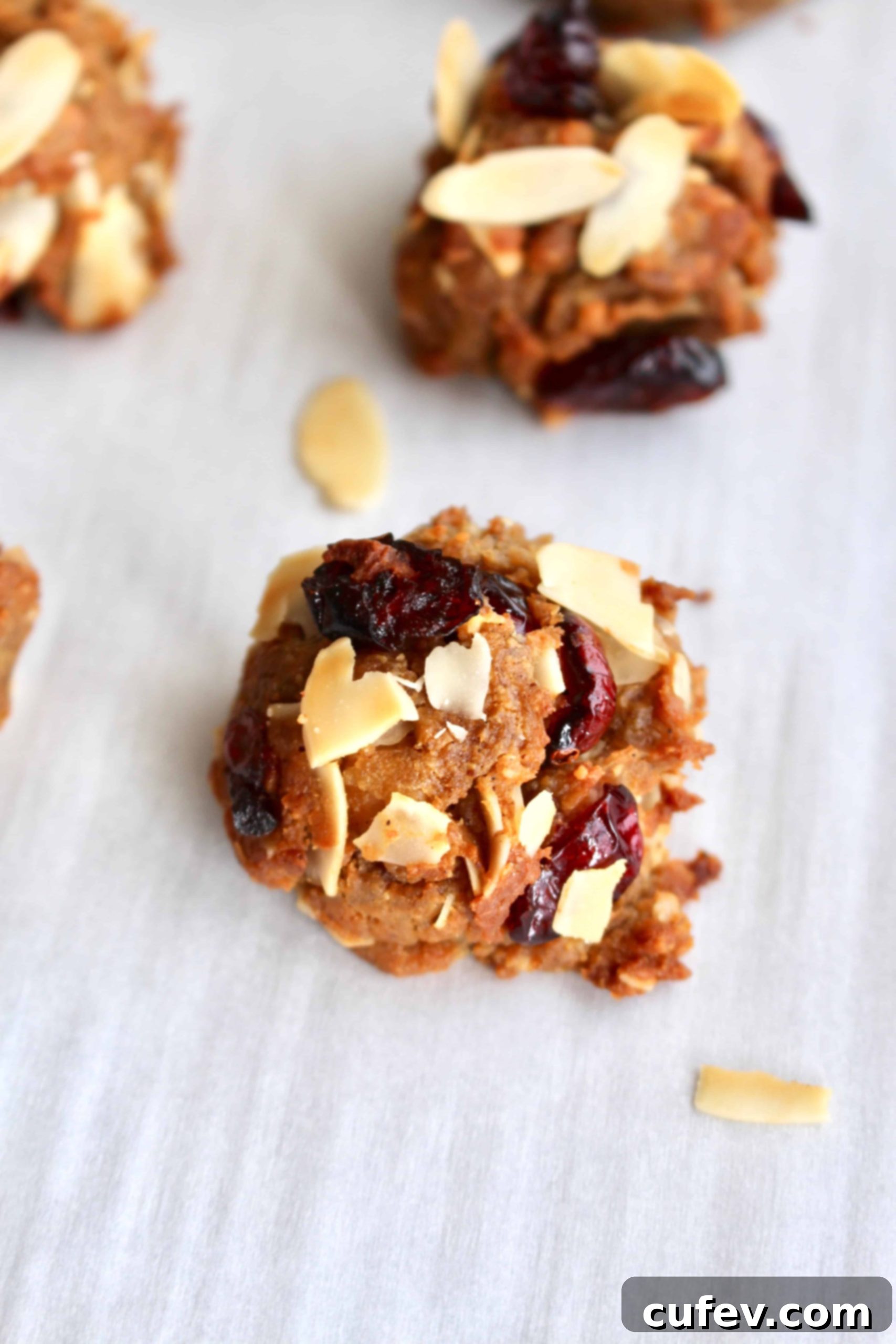 Lactation cookie with sliced almonds