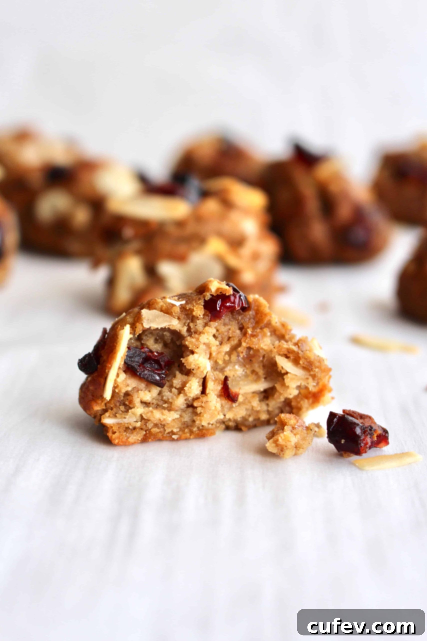 A bitten chickpea cookie