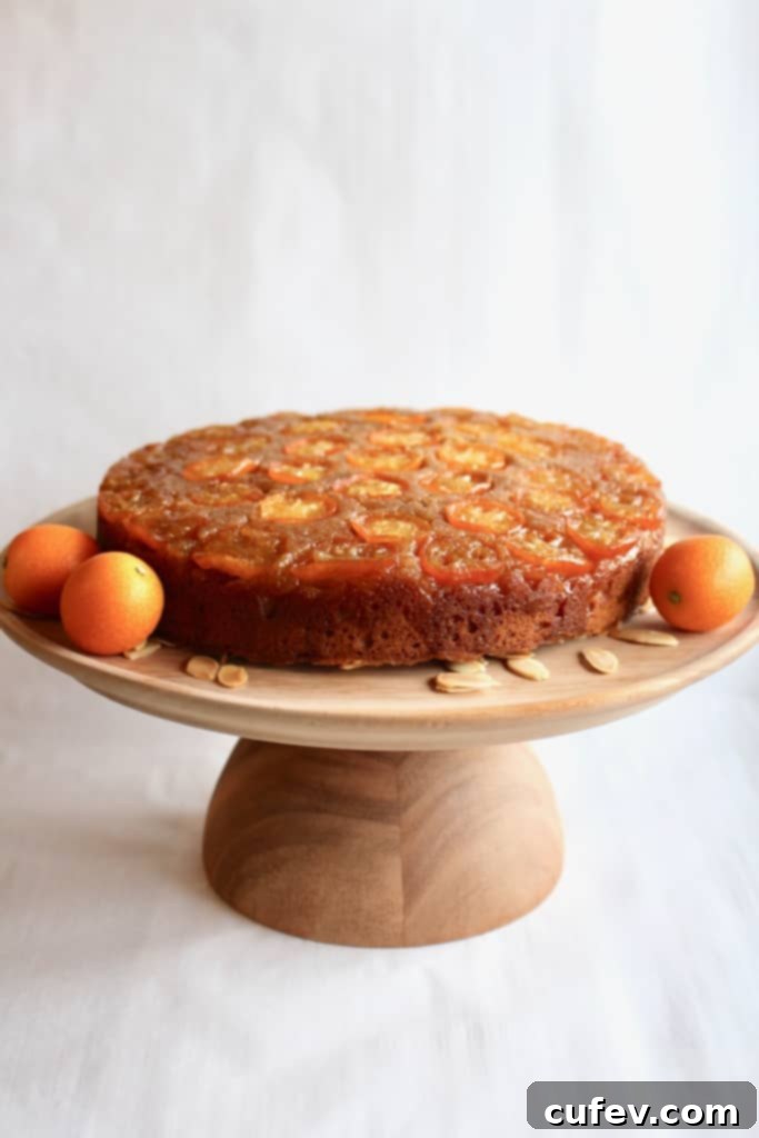 Close-up of a slice of Kumquat Upside Down Cake showcasing the caramelized fruit