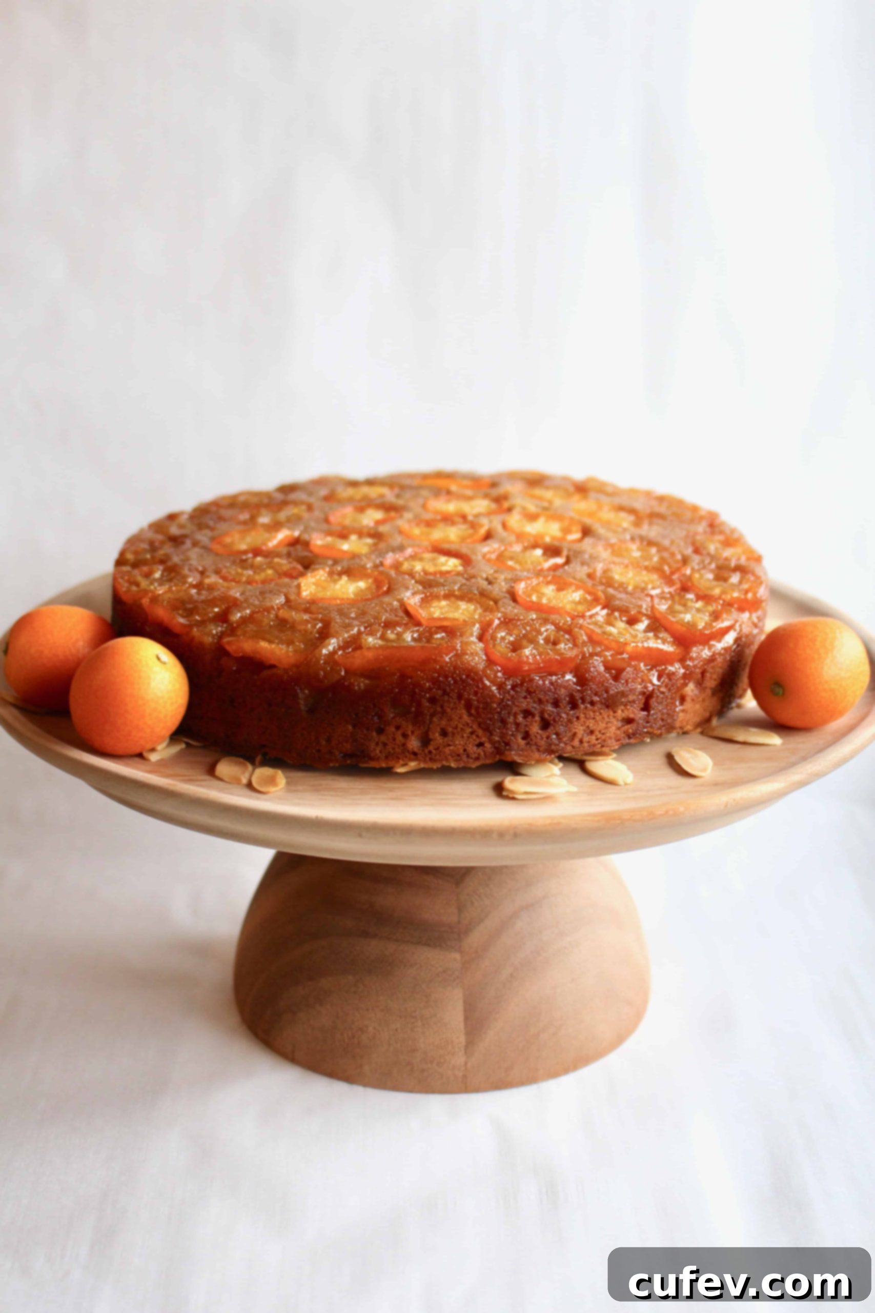 Detailed shot of a slice of Kumquat Upside Down Cake