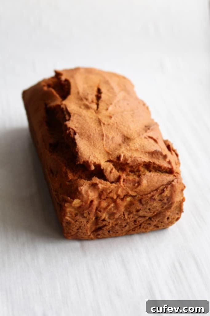 Side view of a freshly baked carrot loaf with chocolate brigadeiro frosting, inspired by traditional Brazilian recipes.