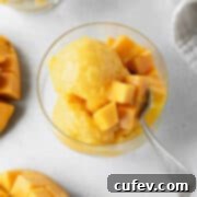 Two Ingredient Mango Sorbet 9 Scoops of mango lime sorbet in a glass