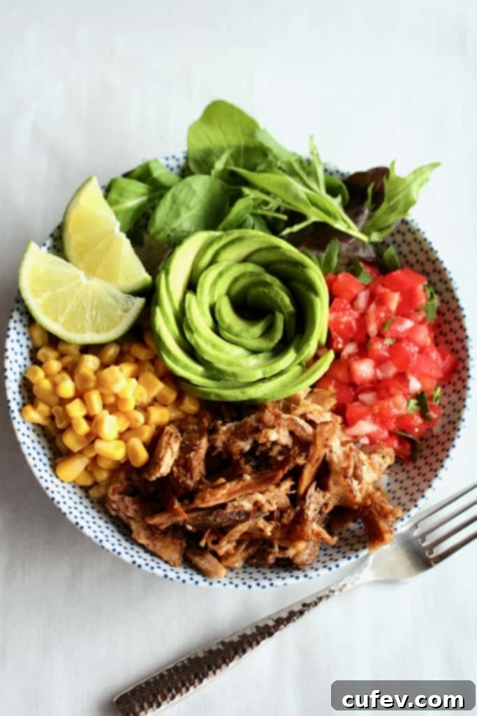 A plate with crispy carnitas, pico de gallo, corn, salad, avocado, and lime wedges.
