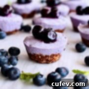 A single vegan blueberry cheesecake bite, artfully garnished with fresh blueberries and a hint of mint, ready to be enjoyed.
