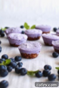 Several perfectly unmolded vegan blueberry cheesecake bites, showcasing their firm structure and inviting appearance.